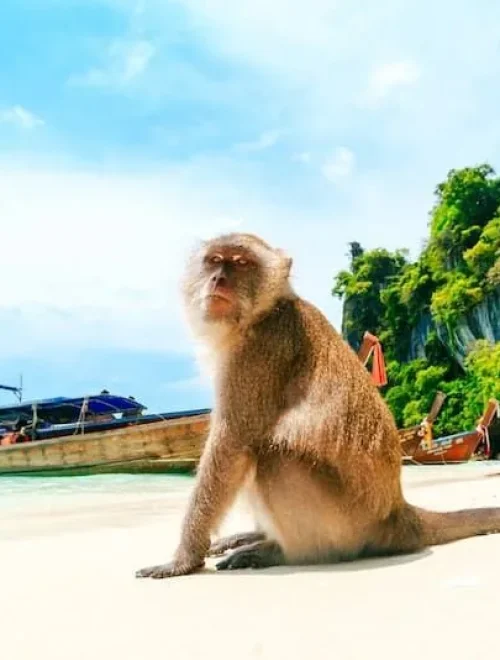 11 ОСТРОВОВ — остров Джеймса Бонда — остров Хонг — остров Пхи-Пхи