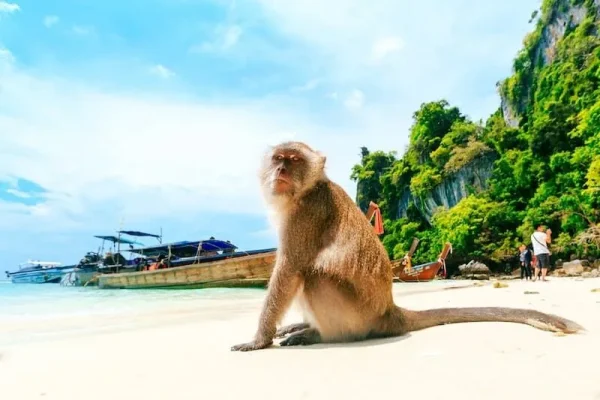 11 ОСТРОВОВ — остров Джеймса Бонда — остров Хонг — остров Пхи-Пхи